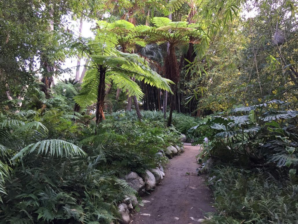 Botanical garden